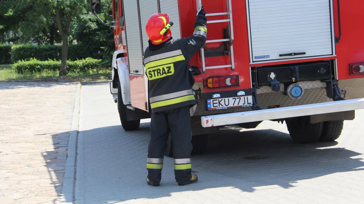 Pożar na Górnej w Łodzi. Strażacy gasili płonące komórki i dwa samochody - Zdjęcie główne