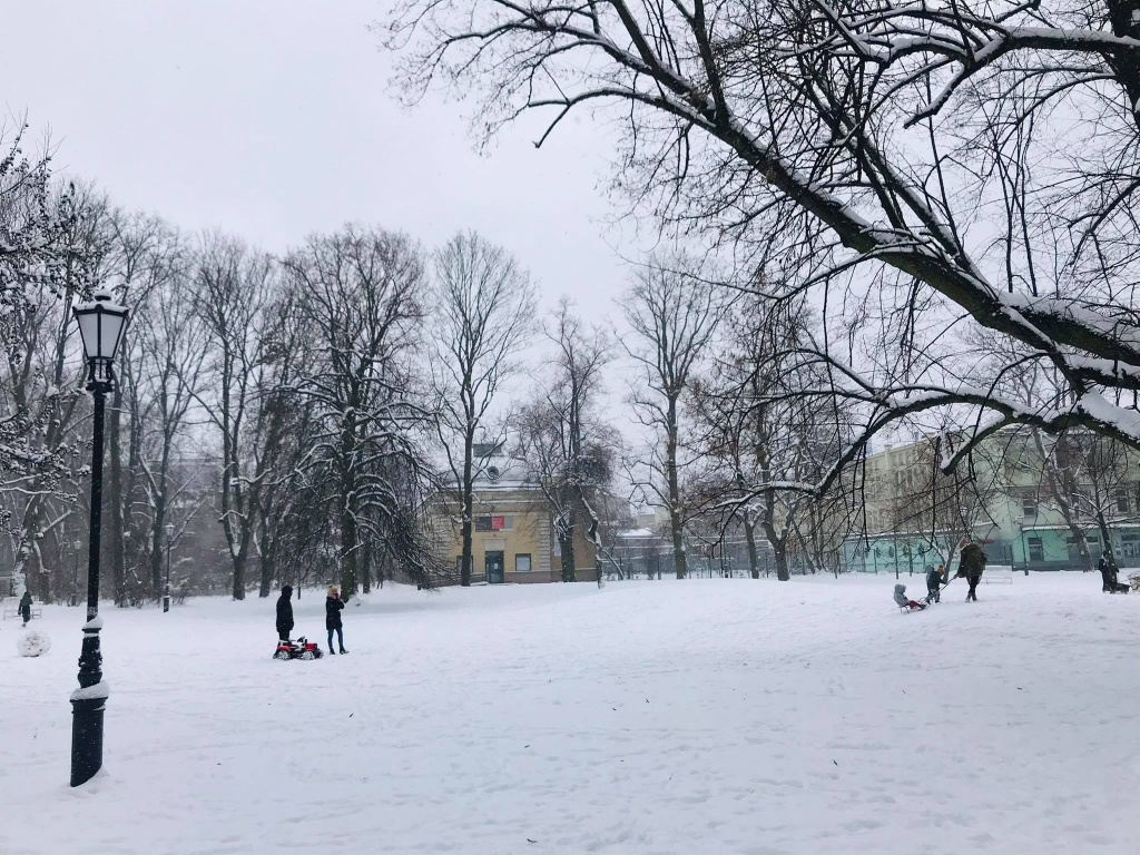 Łódzkie ośnieżone parki zachwycają spacerujących. Zima w mieście ma swoje uroki! (fot. Aga Szynk) |wiadomości łódzkie|Łódź|TuŁódź