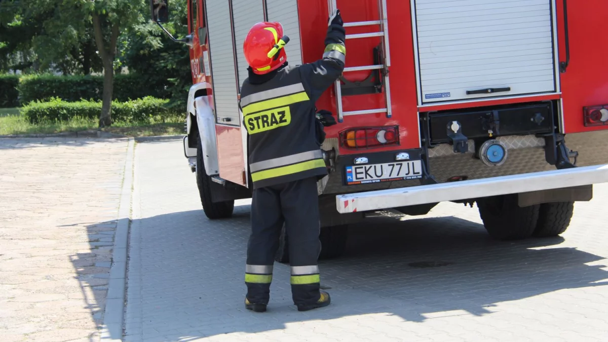 Niecodzienny wypadek w Łódzkiem. Potrzebne były lina i drabina! - Zdjęcie główne