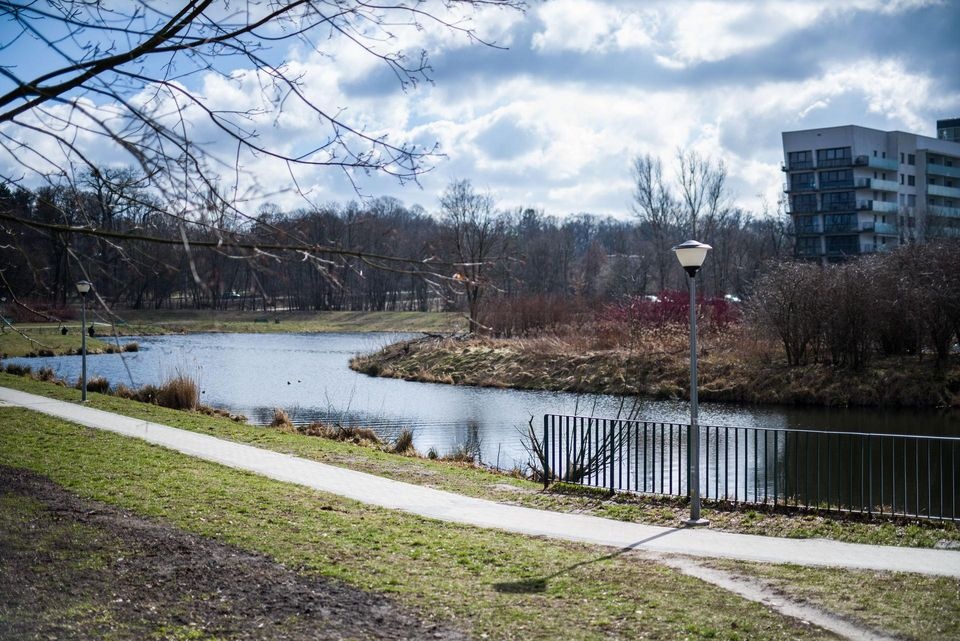 4. Park nad Sokołówką w Łodzi (Witold Ancerowicz : UMŁ)