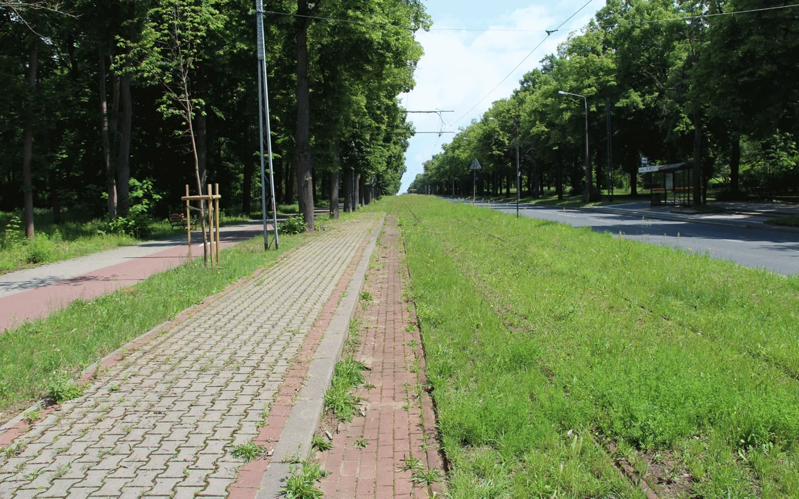 Na tych przystankach od lat hula wiatr. Teraz ma to się zmienić. Sprawdź, od kiedy? [ZDJĘCIA] - Zdjęcie główne