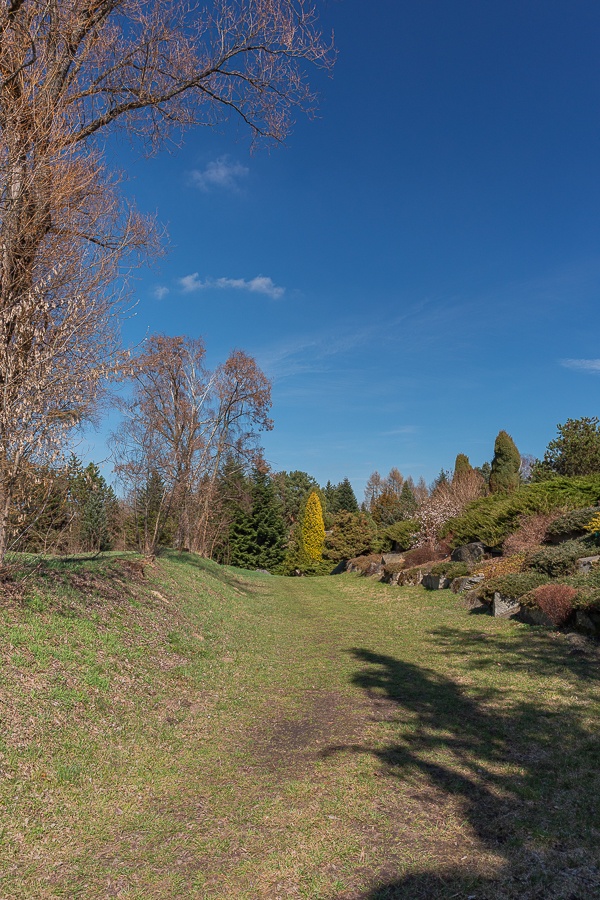 Ogród Botaniczny w Łodzi znowu otwarty  (fot. Michał Pietrzak - TuLodz.pl) |wiadomości łódzkie|łódź|TuŁódź