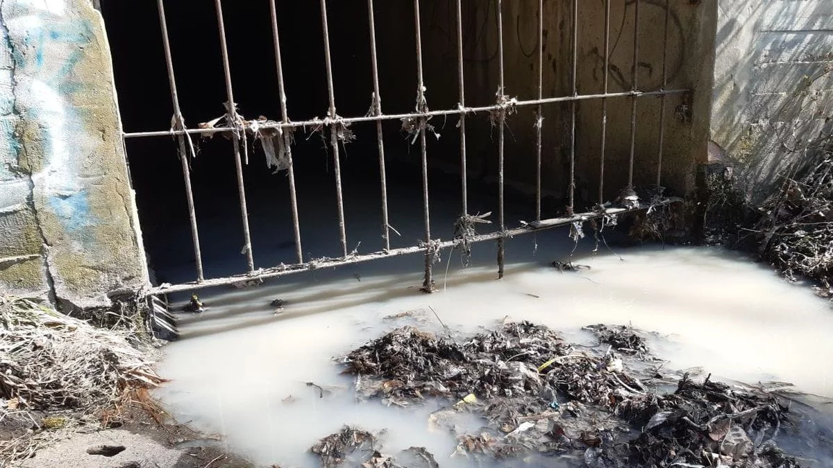 Łódzka rzeka znów zanieczyszczona! W wodzie pojawiła się biała substancja