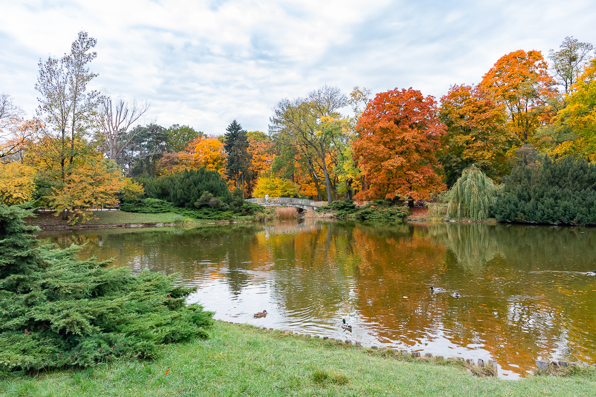 Park Poniatowskiego w Łodzi zachwycił nas jesienią. 