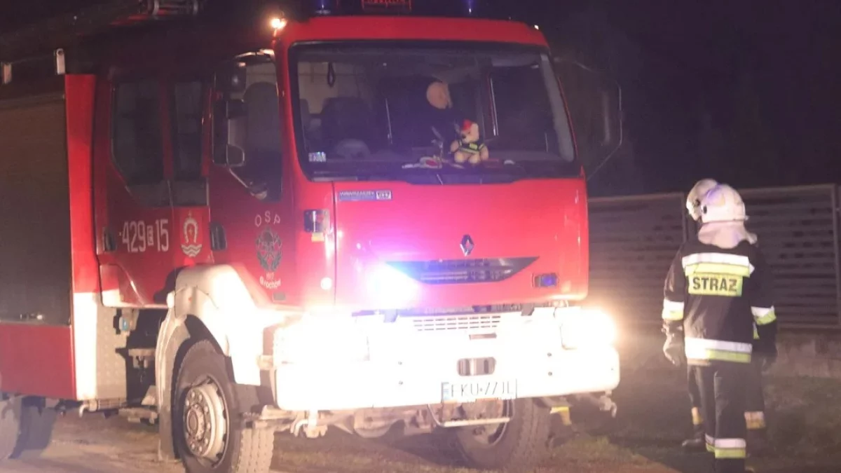 Tragiczny pożar w Łódzkiem. Nie żyje mężczyzna, zatruł się czadem - Zdjęcie główne