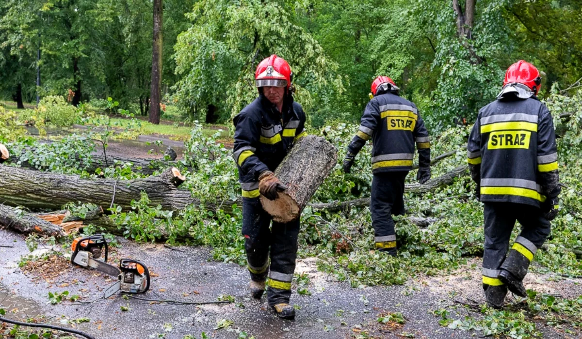 Zeszłoroczne letnie burze dały się we znaki mieszkańcom regionu łódzkiego