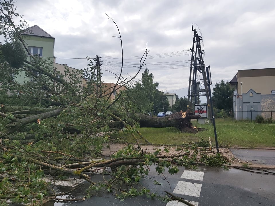 Burze Łódź. Najbardziej ucierpiała miejska zieleń. W wielu mieszkaniach wciąż nie ma prądu (fot. Czytelnik)