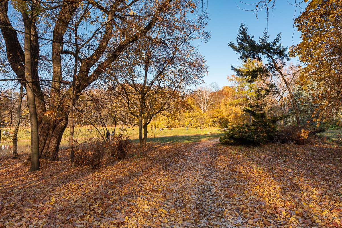 Łódzki park na Zdrowiu zachwyca jesienią