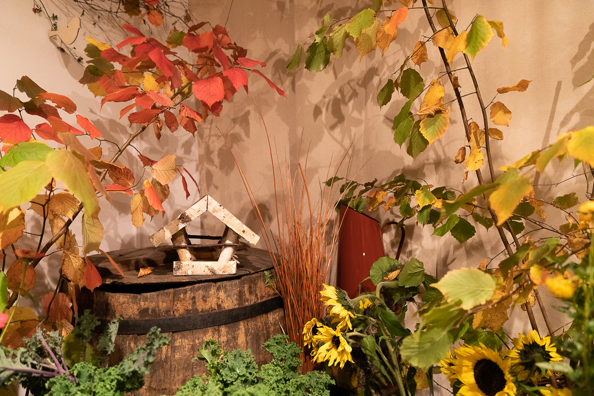 Do niedzieli 10 października w łódzkim Ogrodzie Botanicznym można oglądać wystawę "Owoce, warzywa, kwiaty"