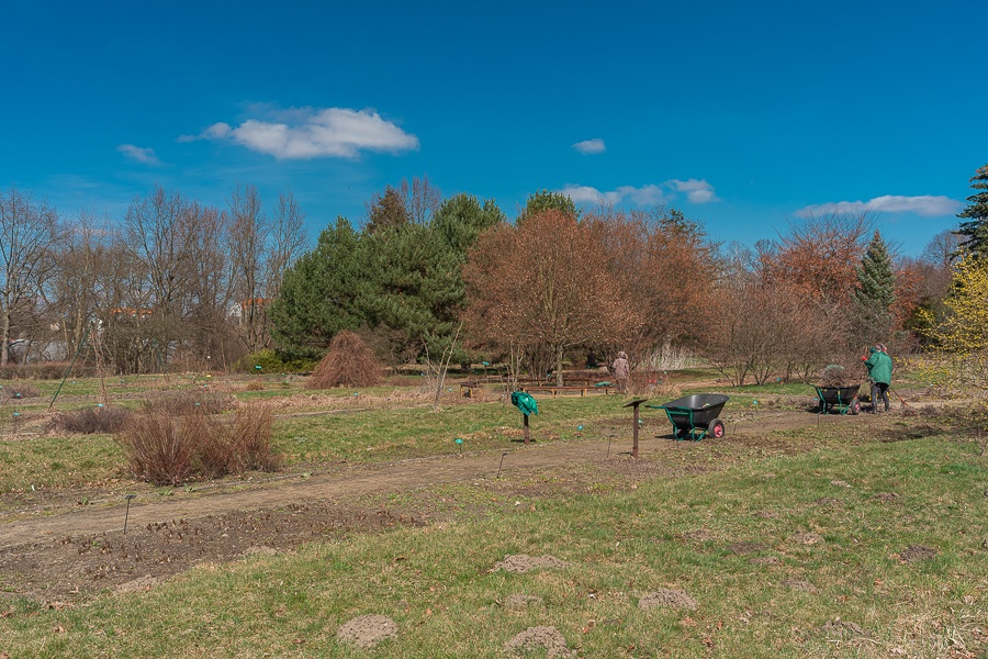 Ogród Botaniczny w Łodzi znowu otwarty  (fot. Michał Pietrzak - TuLodz.pl) |wiadomości łódzkie|łódź|TuŁódź