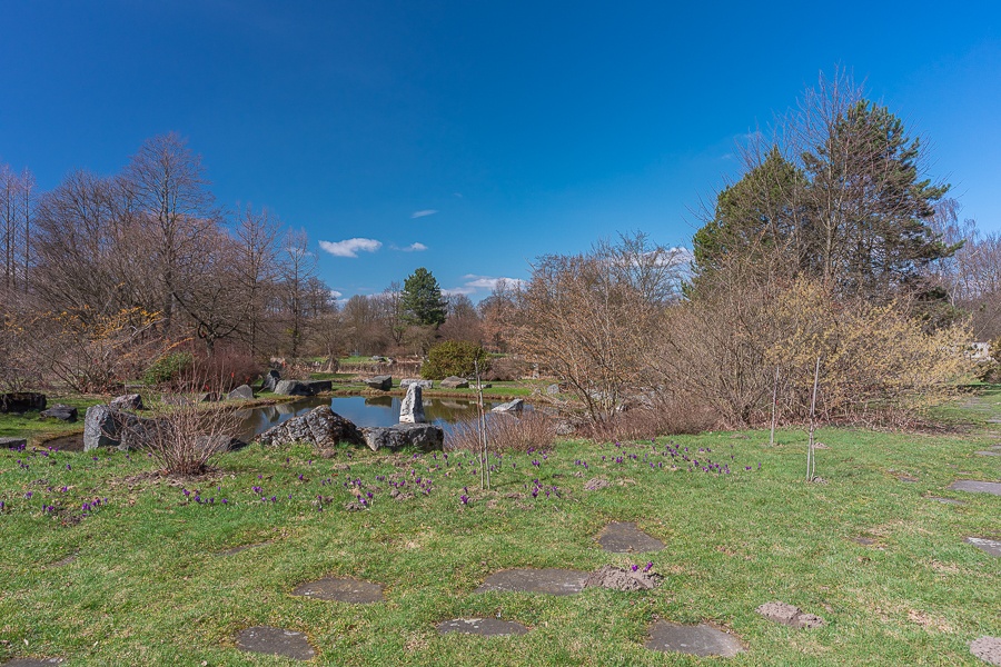 Ogród Botaniczny w Łodzi znowu otwarty  (fot. Michał Pietrzak - TuLodz.pl) |wiadomości łódzkie|łódź|TuŁódź