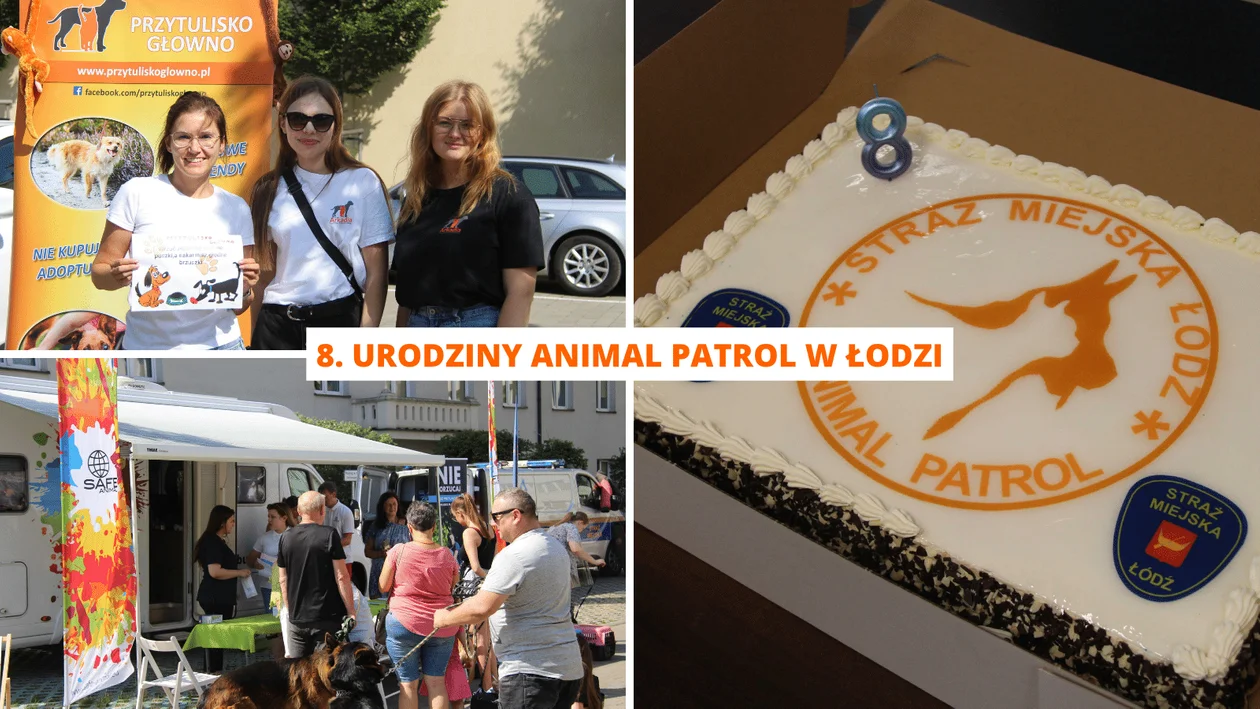 Animal Patrol świętuje swoje 8. urodziny. Darmowe czipowanie dla wszystkich czworonogów [ZDJĘCIA] - Zdjęcie główne