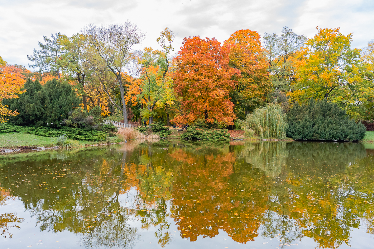 Park Poniatowskiego w Łodzi zachwycił nas jesienią. 