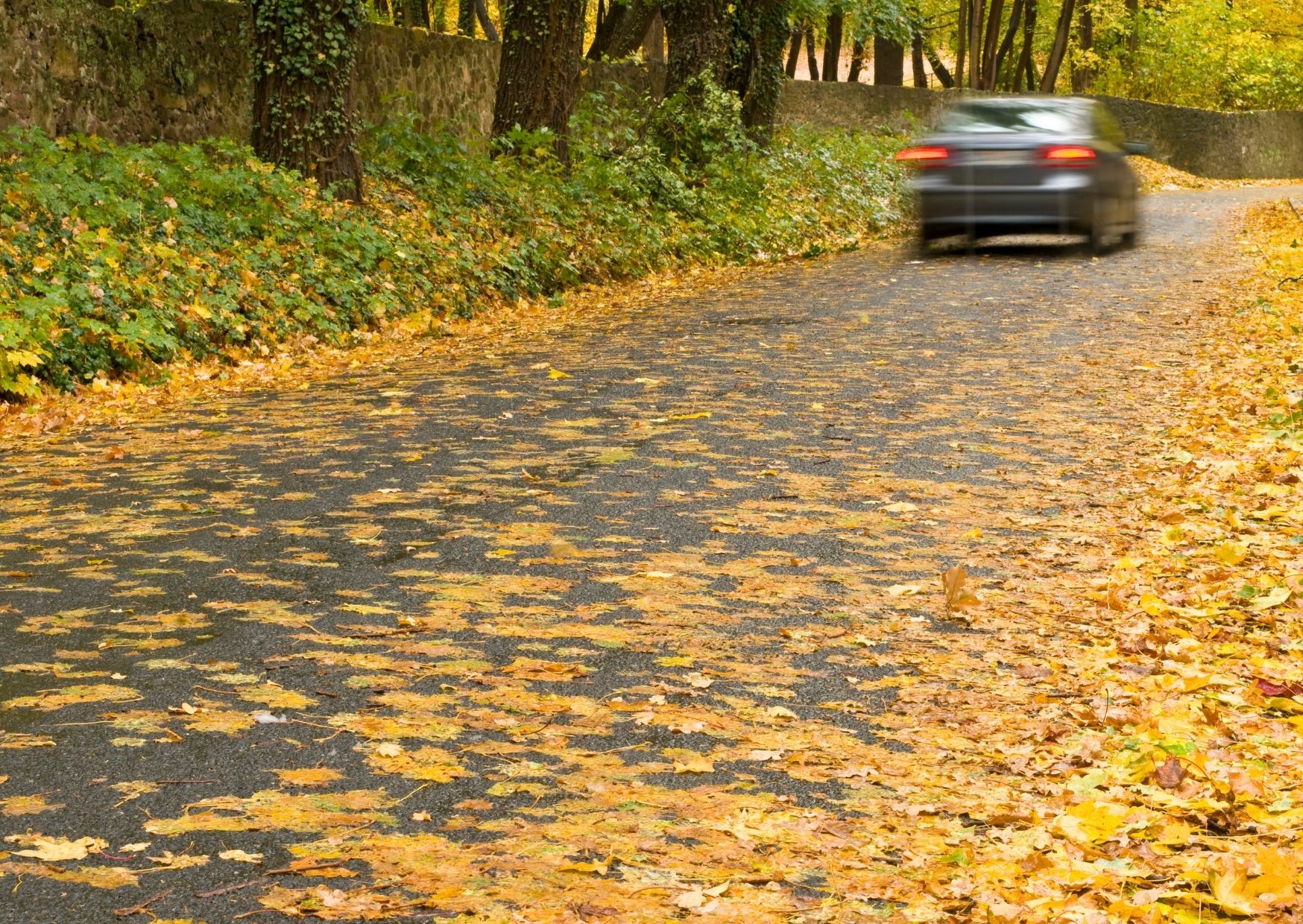 Mądry Polak po szkodzie? Nie tym razem. Sprawdź, jak przygotować auto do jesieni [poradnik] - Zdjęcie główne