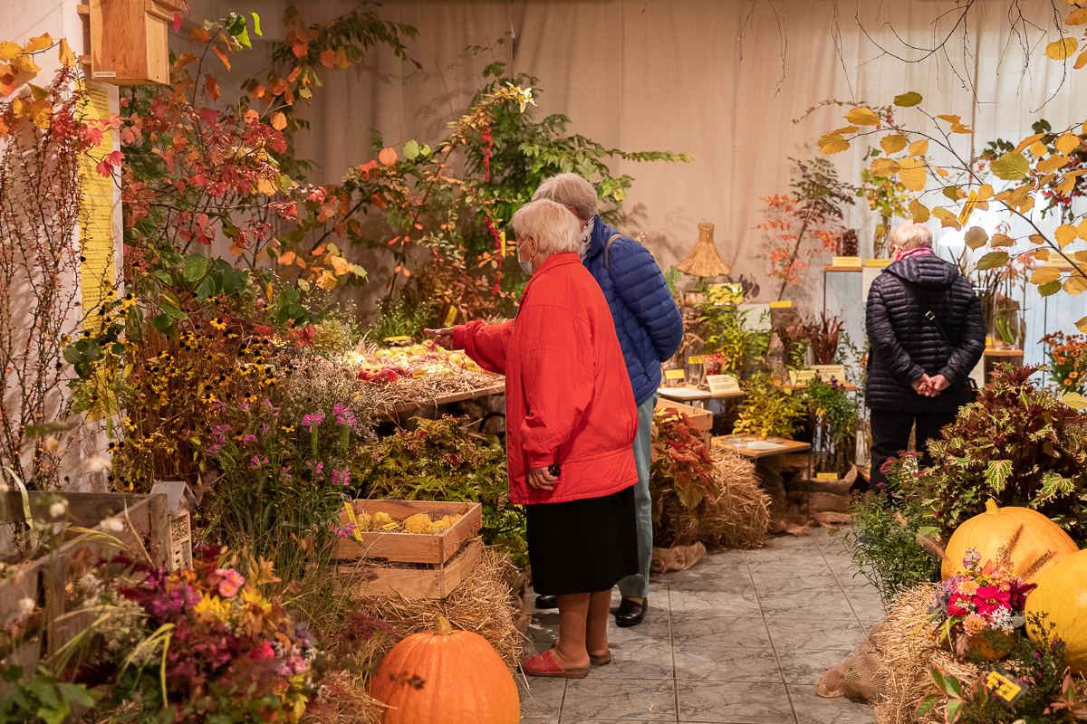 Do niedzieli 10 października w łódzkim Ogrodzie Botanicznym można oglądać wystawę "Owoce, warzywa, kwiaty"