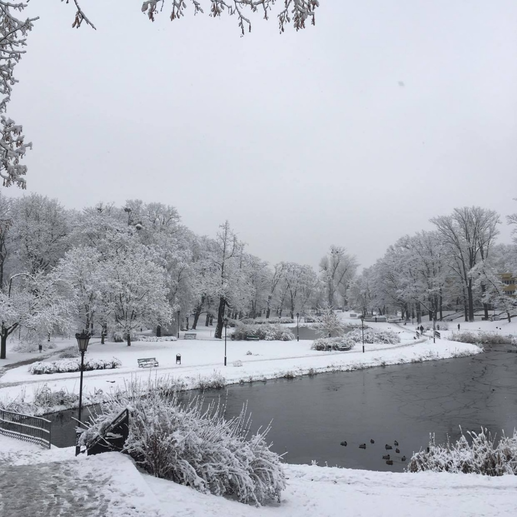 Kontynuujemy cykl TuŁódź - Szalone miasto. Tym razem opowiadamy o Parku Helenów. (fot. Patrycja Chuszcz) |wiadomości łódzkie|Łódź|TuŁódź