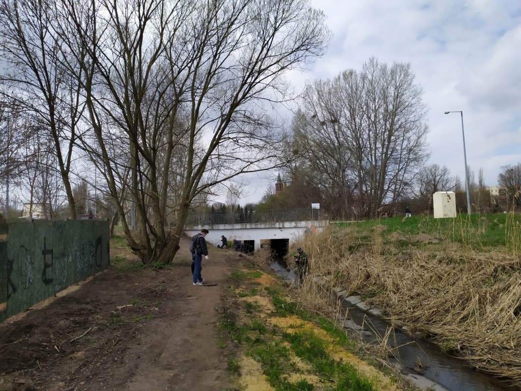 Dzień Ziemi w Łodzi. Mieszkańcy Chojen sprzątali Olechówkę. Zebrali ponad 2,5 tysiąca litrów śmieci! (fot. Łukasz Sil)