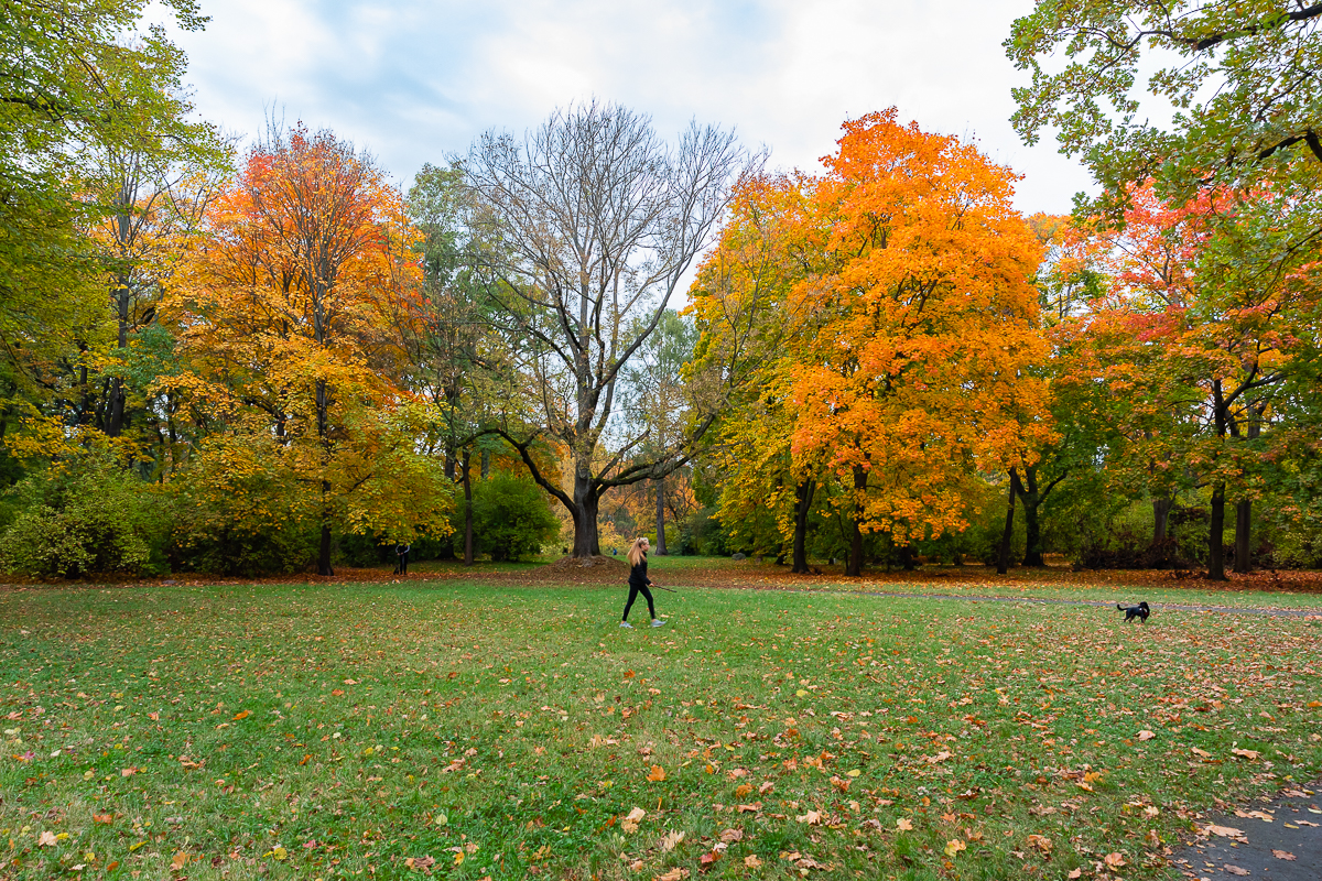 Park Poniatowskiego w Łodzi zachwycił nas jesienią. 