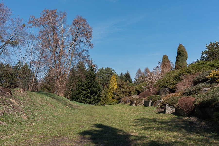 Ogród Botaniczny w Łodzi znowu otwarty  (fot. Michał Pietrzak - TuLodz.pl) |wiadomości łódzkie|łódź|TuŁódź