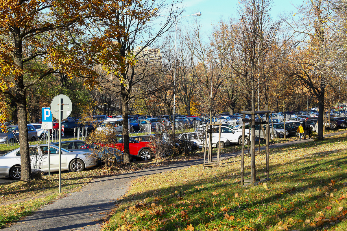 Funkcjonariusze drogówki prowadzą akcję "Znicz"