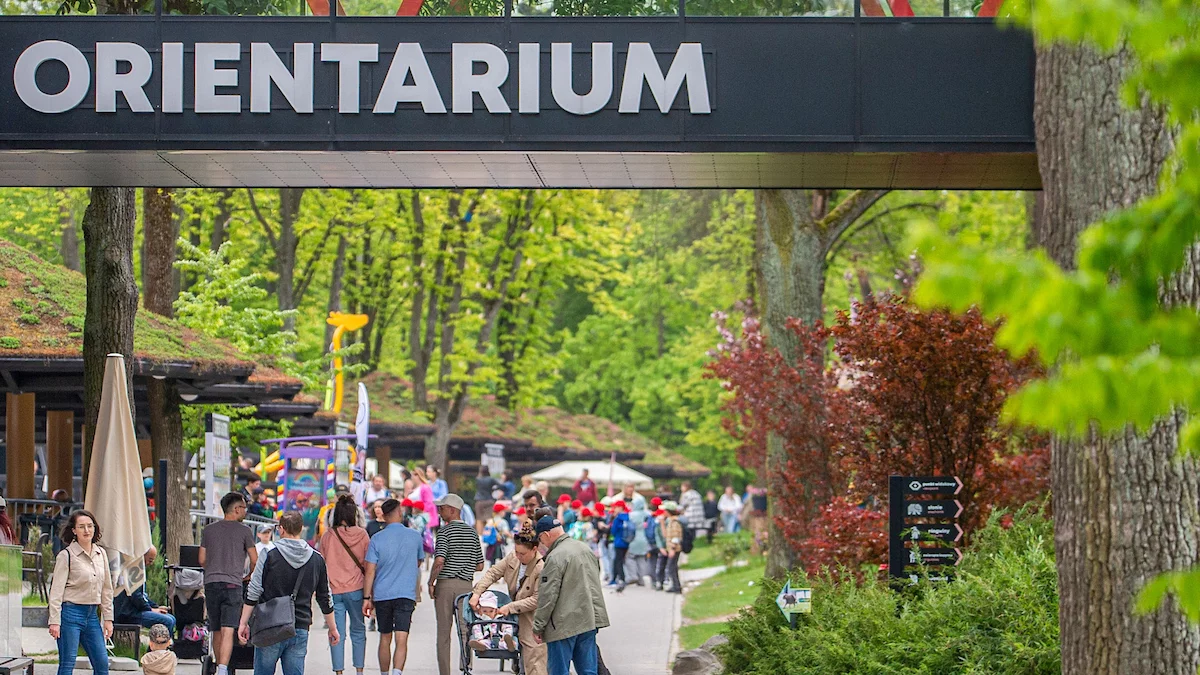 Kto zarabia najwięcej w miejskich spółkach Łodzi? Radni sprawdzili pensje prezesów