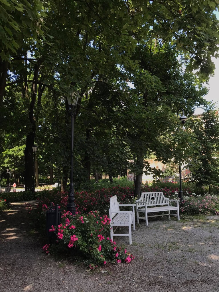Urząd Miasta Łodzi zapowiedział ustanowienie czterech miejskich parków. Łodzianie zdecydują jak je nazwać (fot. Agnieszka Szynk) |wiadomości łódzkie | Łódź | TuŁódź