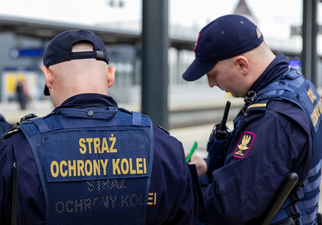 Służby na stacji Łódź Widzew. Nastolatka chciała wejść na tory - Zdjęcie główne