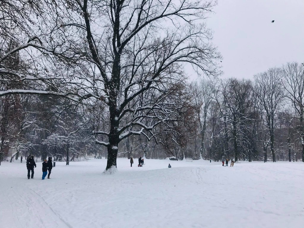 Łódzkie ośnieżone parki zachwycają spacerujących. Zima w mieście ma swoje uroki! (fot. Aga Szynk) |wiadomości łódzkie|Łódź|TuŁódź