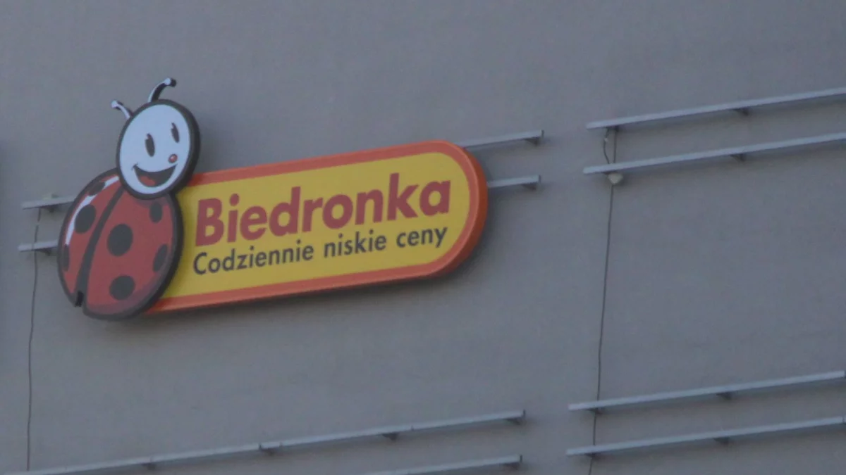 Jedna z największych Biedronek w Polsce szuka pracowników. Kto może liczyć na zatrudnienie w dyskoncie w Nowej Sukcesji? - Zdjęcie główne