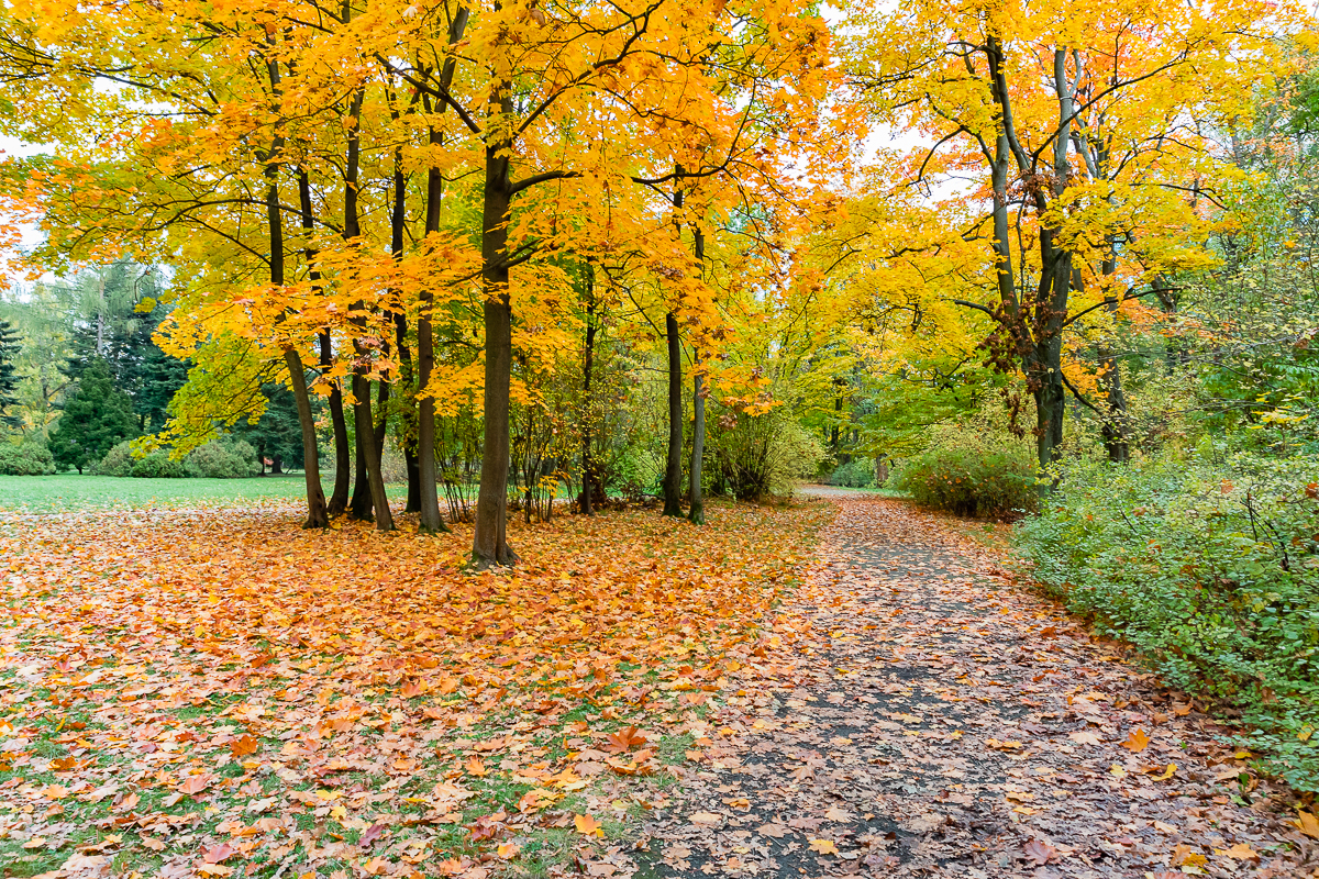 Park Poniatowskiego w Łodzi zachwycił nas jesienią. 