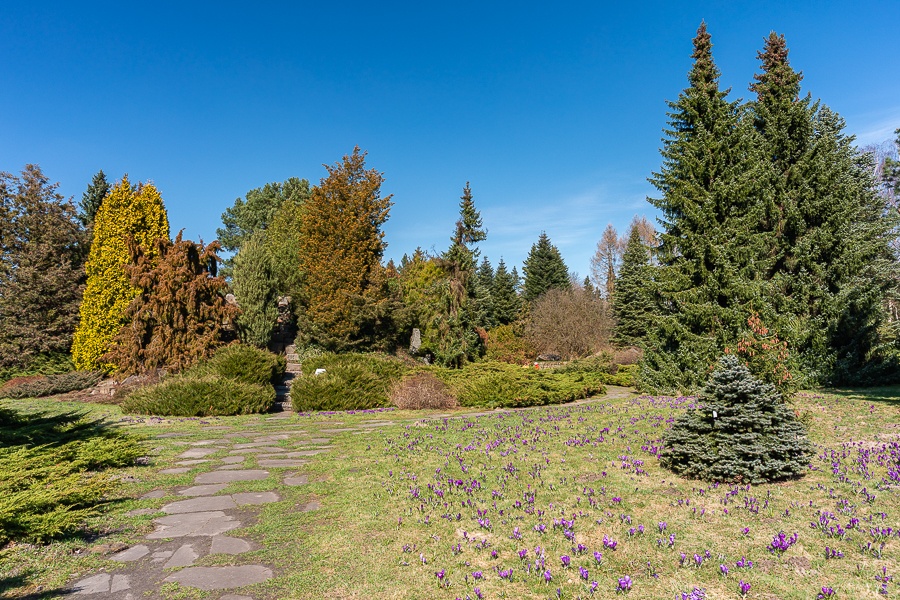 Ogród Botaniczny w Łodzi znowu otwarty  (fot. Michał Pietrzak - TuLodz.pl) |wiadomości łódzkie|łódź|TuŁódź