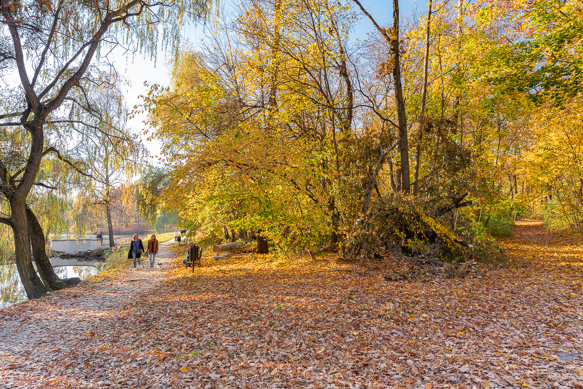 Łódzki park na Zdrowiu zachwyca jesienią