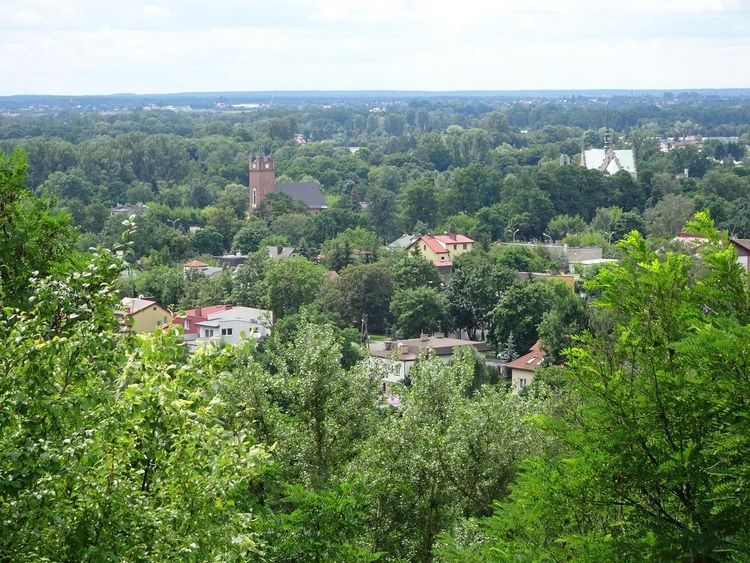 Ruda Pabianicka nie będzie rozbudowywana na dziko dostanie plan zagospodarowania - Zdjęcie główne