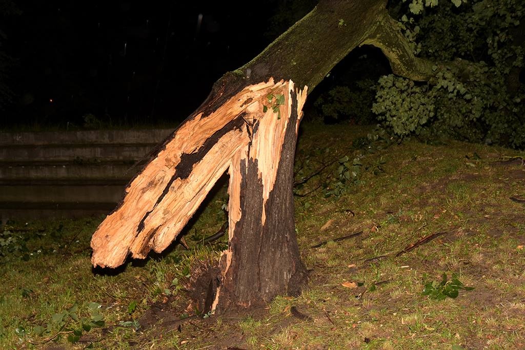 To była bardzo pracowita noc dla strażaków. Ulewa, porywisty wiatr, burza zrobiły swoje. Niektóre ulice w Łodzi pozbawione były prądu (fot. Karol Grzegorek)