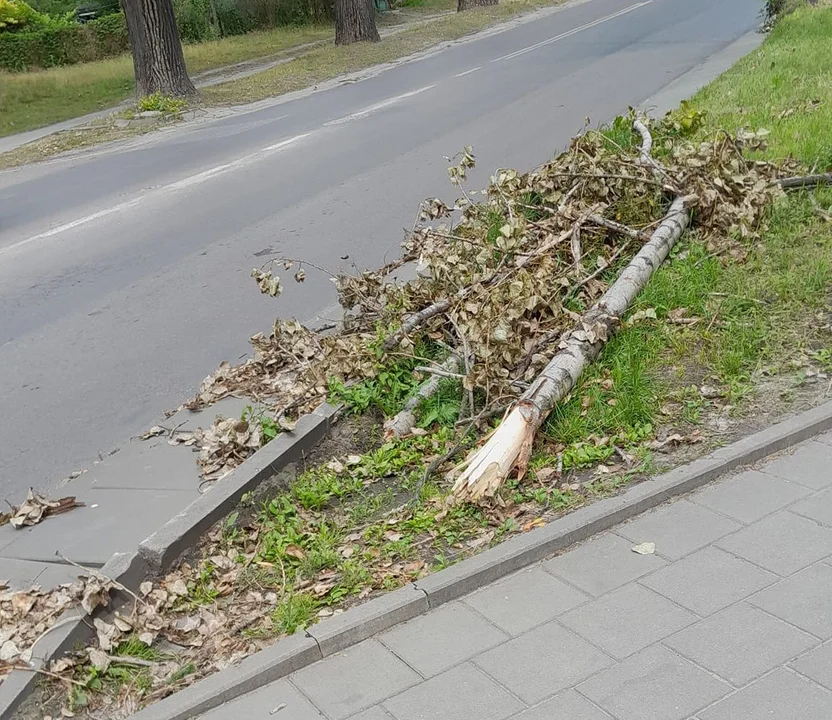 Nocne burze i ulewy w województwie łódzkim. Strażacy musieli wyjeżdżać kilkadziesiąt razy! - Zdjęcie główne