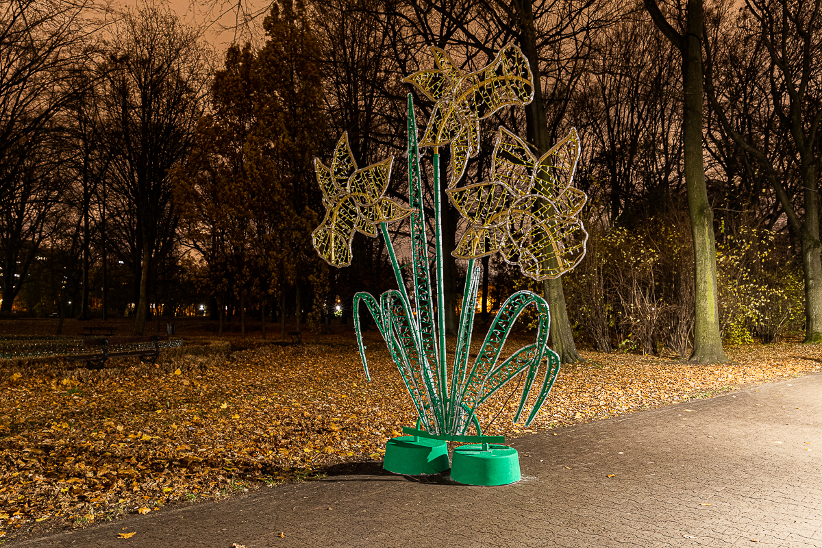 Park Źródliska w Łodzi nocą