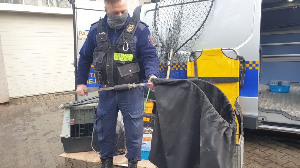 Animal Patrol Straży Miejskiej w Łodzi gotowy do akcji. Każdego roku funkcjonariusze podejmują około 5000 interwencji (fot. Bartosz Jankowski - TuŁódź.pl)