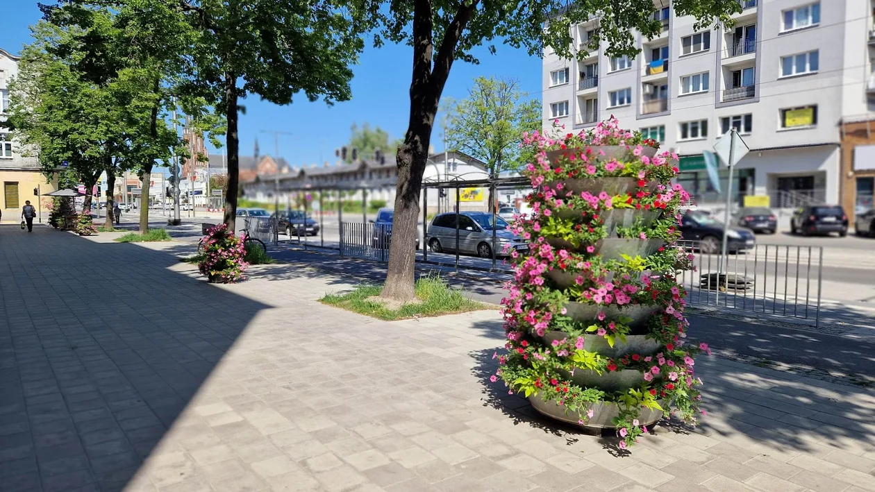 Nowe ozdoby na pabianickich ulicach. Zobacz, gdzie je ustawiono - Zdjęcie główne