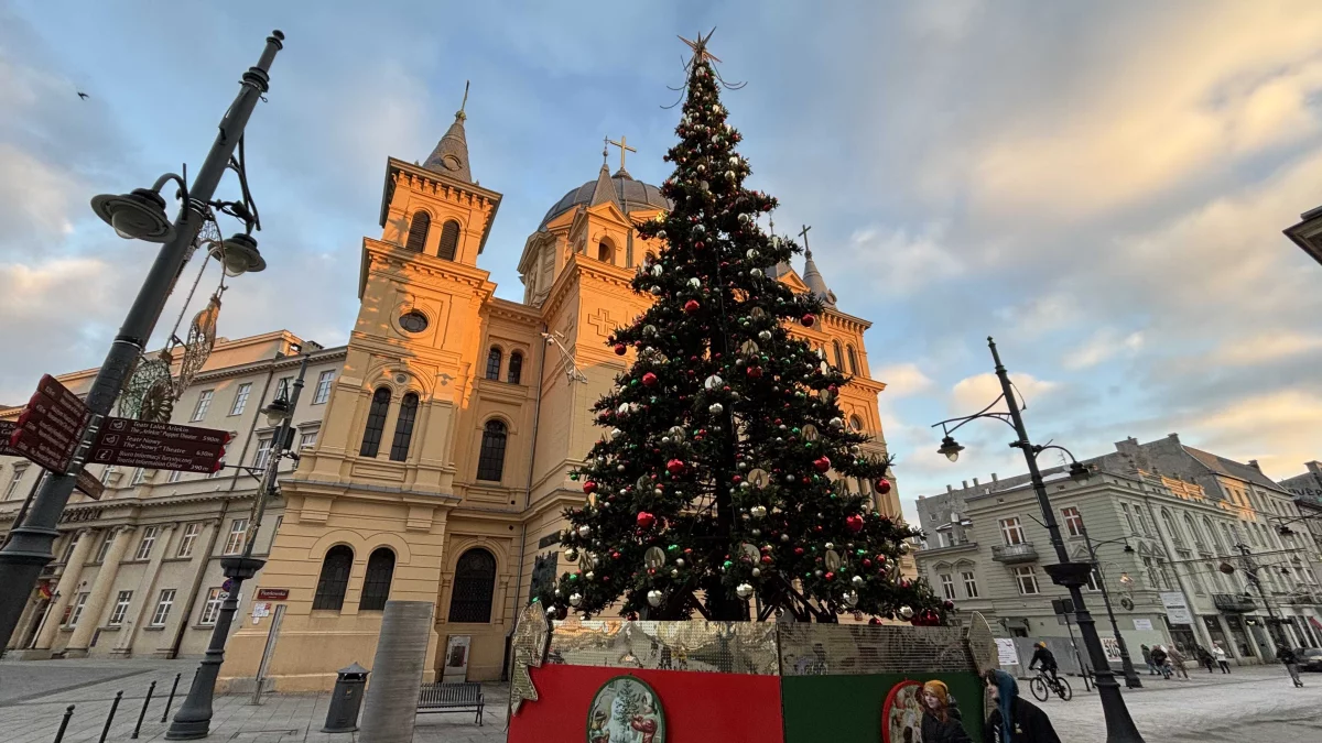 Ważne miejsce na mapie Łodzi gotowe na święta! Wielka choinka zmieniła swoje miejsce [ZDJĘCIA] - Zdjęcie główne