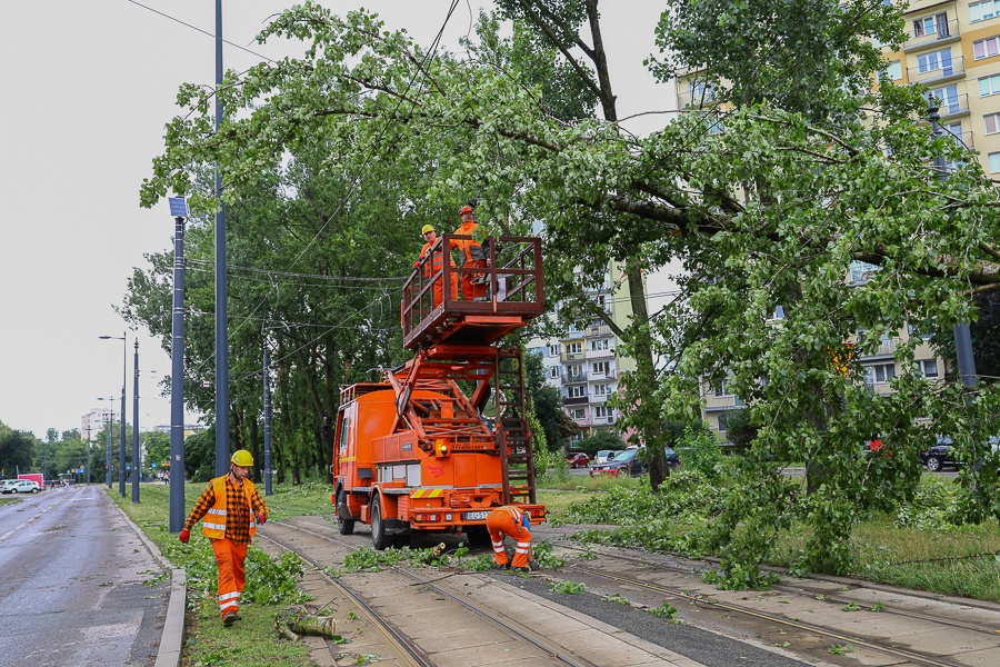 Ponad 135 tys. odbiorców w Łódzkiem bez prądu. Trzy pożary od uderzenia piorunów. Są ranni, w tym strażacy [zdjęcia] - Zdjęcie główne