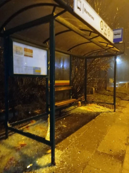 W okresie noworocznym zdewastowano w Łodzi 11 wiat przystankowych