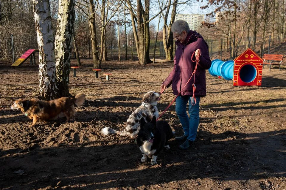 Psi park na łódzkim Polesiu? Za i przeciw - Zdjęcie główne