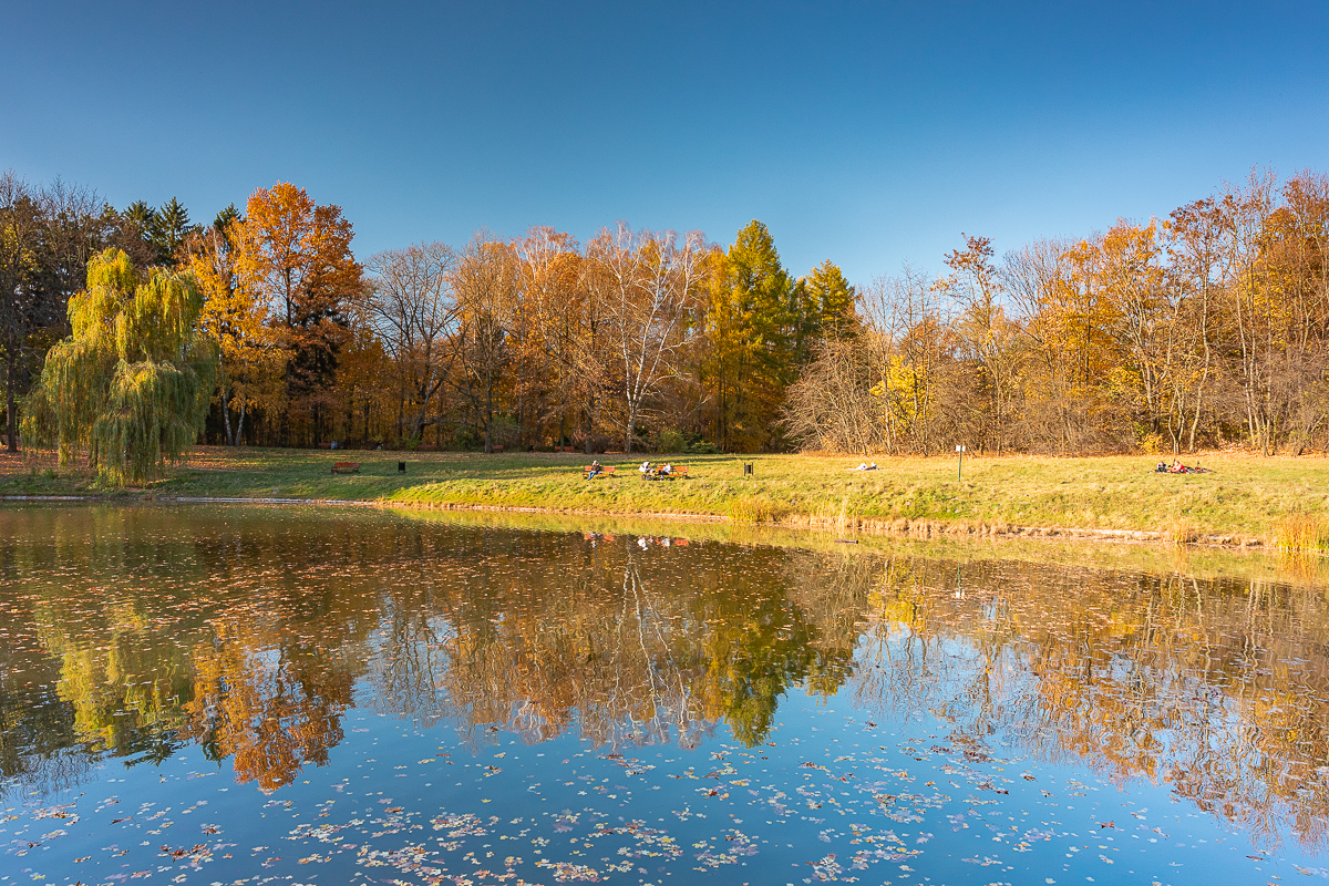 Łódzki park na Zdrowiu zachwyca jesienią