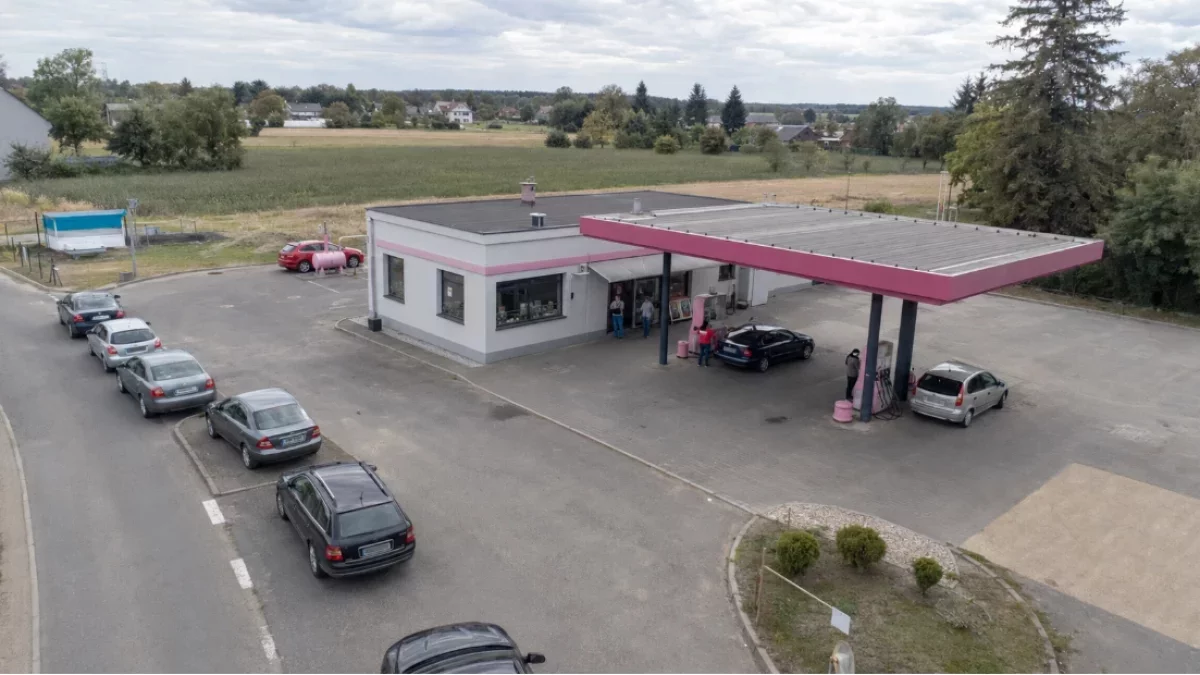 Paliwo u Skolima nokautuje Orlen. Rzecznik rządu zabrał głos w sprawie cen
