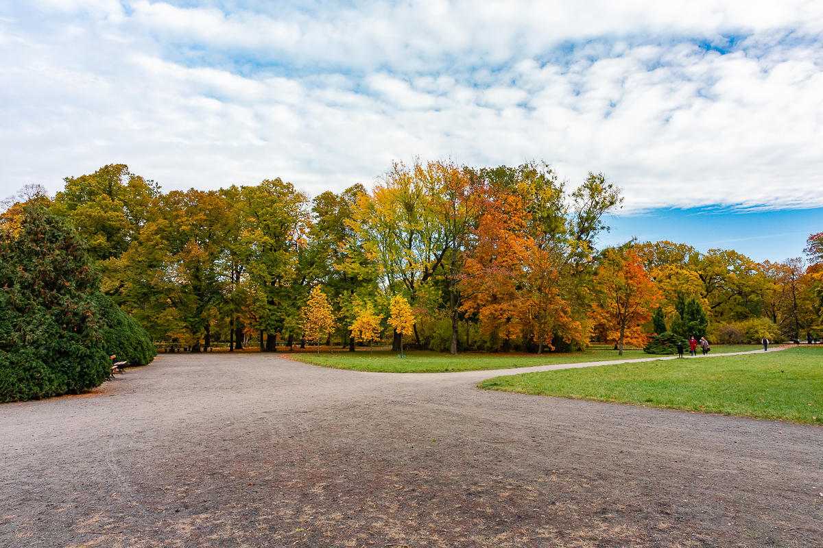 Park Poniatowskiego w Łodzi zachwycił nas jesienią. 