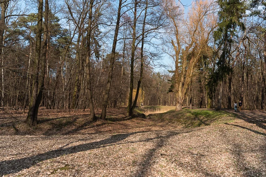 Nie chcą festiwalu Audioriver w parku. Grupa "Zielone Serce Zdrowia" złożyła w Urzędzie Miasta wniosek o zwołanie specjalnego posiedzenia - Zdjęcie główne