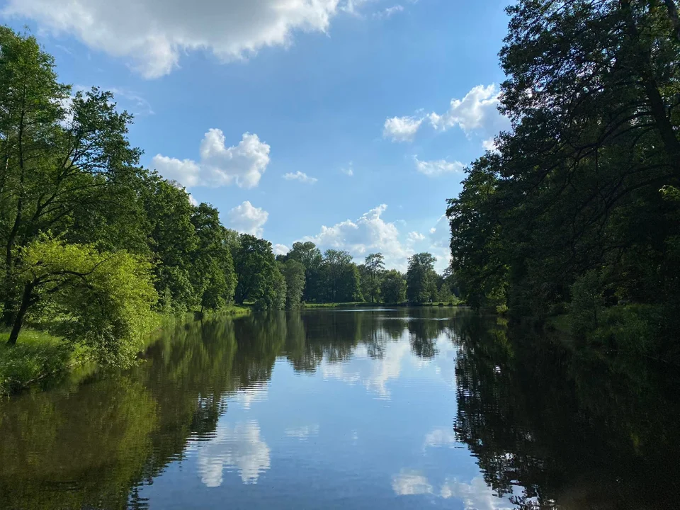 Park Julianowski zachwyca zielenią! O tej porze roku jest oazą dla mieszkańców [galeria]  - Zdjęcie główne