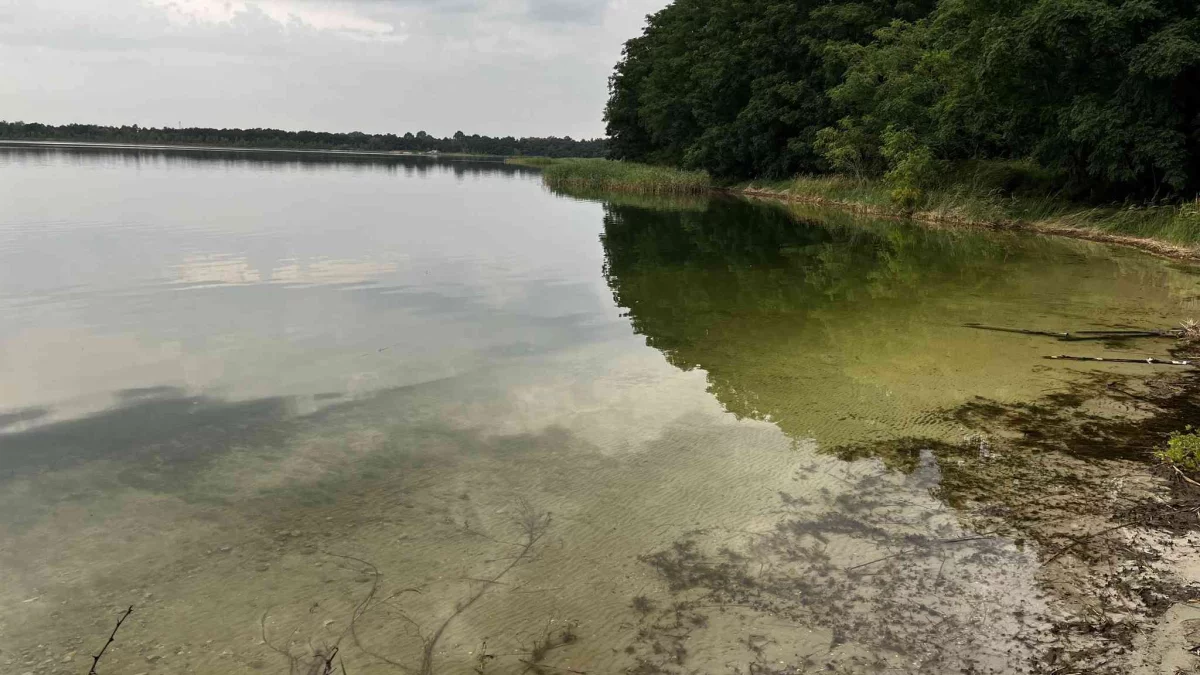 Osadnik Gajówka to polskie Morze Martwe. Z Łodzi można dotrzeć tu w godzinę - Zdjęcie główne