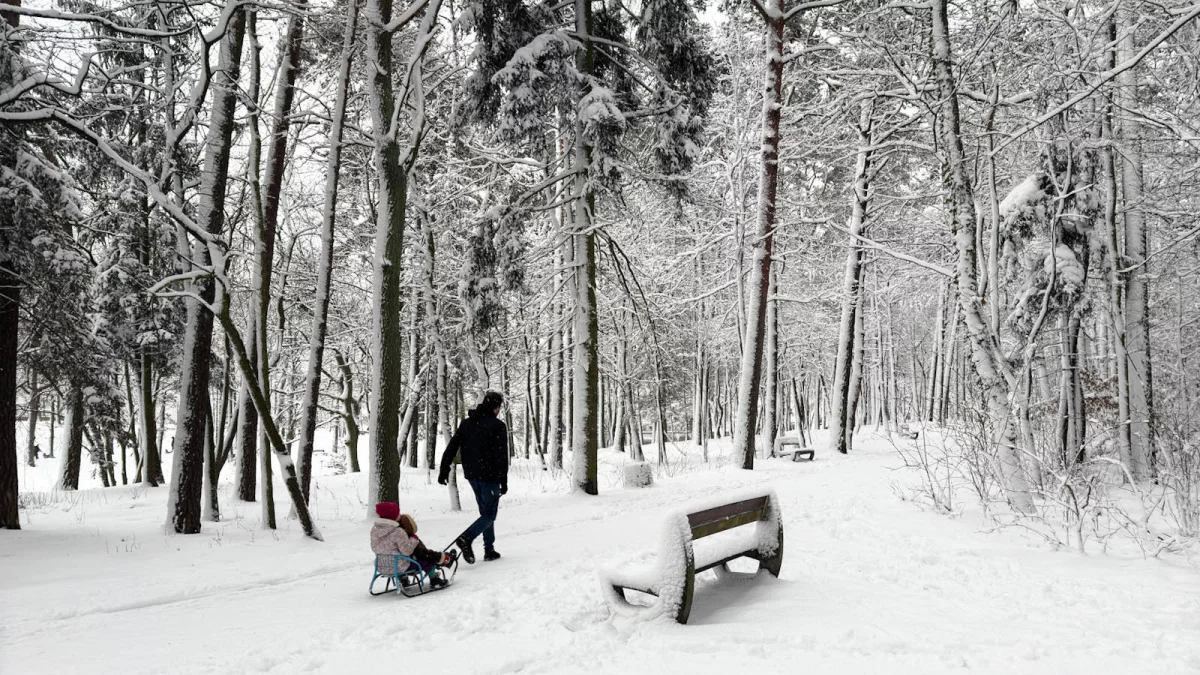 Najlepsze miejsca na sanki w Łodzi i regionie. Sprawdź, gdzie warto się wybrać - Zdjęcie główne