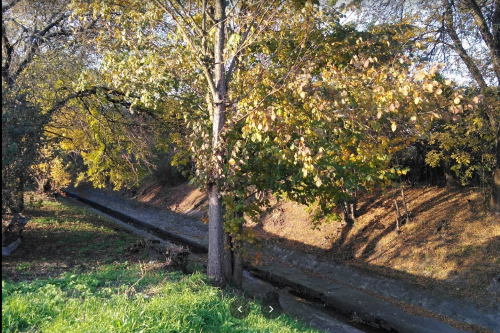 Rzeka Jasień w Łodzi (fot. Google Maps) |wiadomości łódzkie|Łódź|TuŁódź